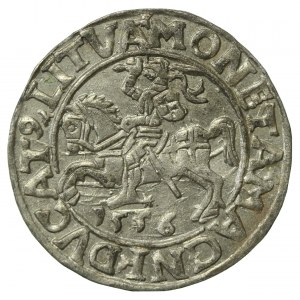 Zygmunt II August, Półgrosz 1556 Wilno, LI/LITVA (684)