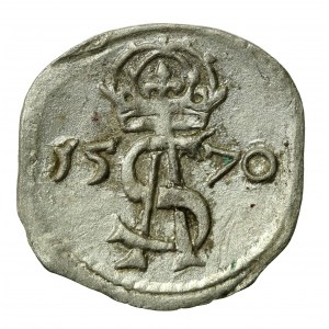 Zygmunt II August, Dwudenar 1570, Wilno (696)