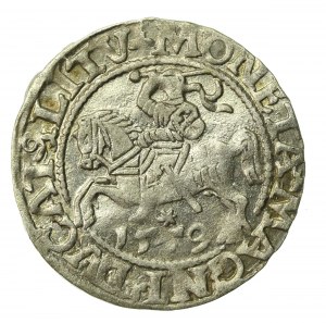 Sigismund II Augustus, Half-penny 1559, Vilnius - L/LITVA (857)