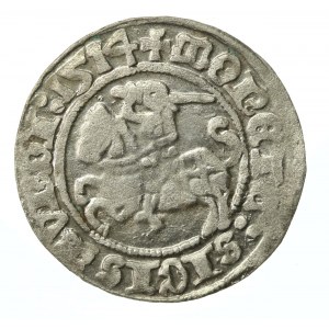Zygmunt I Stary, Półgrosz 1514, Wilno (874)