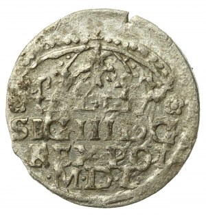 Sigismund III Vasa, 1624 penny, Bydgoszcz (891)