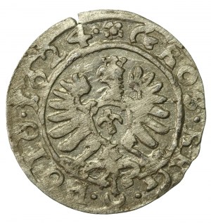 Sigismund III Vasa, 1624 penny, Bydgoszcz (891)