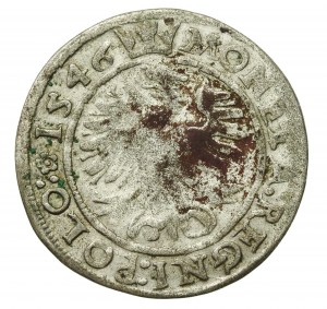 Sigismund I the Old, penny 1546 ST, Cracow (938)