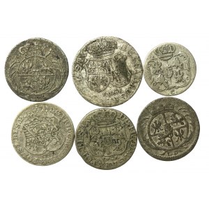 August III Sas. Zestaw monet. Razem 6 sztuk (783)