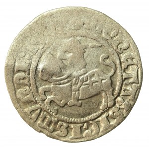 Zygmunt I Stary, półgrosz, Wilno (1303)