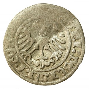 Zygmunt I Stary, półgrosz, Wilno (1303)