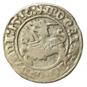 Zygmunt I Stary, Półgrosz 1510, Wilno. Dwukropek przed datą (1305)