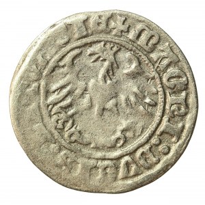 Zygmunt I Stary, Półgrosz 1510, Wilno. Dwukropek przed datą (1305)