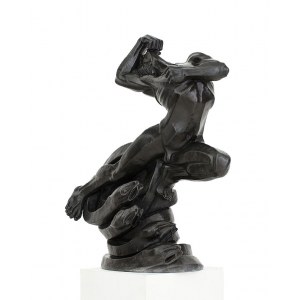 Biegas Bolesław (1877 - 1954), Gadziny życia, 1917