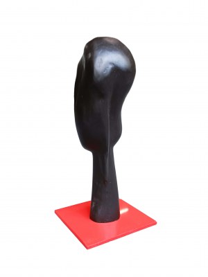 Wojciech Ruszel (ur. 1959), Owoc mojej twórczości, 2012