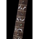 Ibanez JEM20TH Steve Vai Signature 20th Anniversary, Japonia, 2007, Gitara elektryczna typu Solid-Body