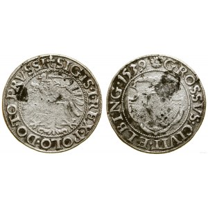 Polska, grosz, 1539, Elbląg