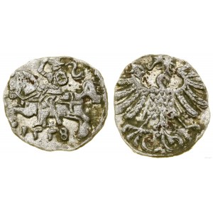 Polska, denar, 1558, Wilno