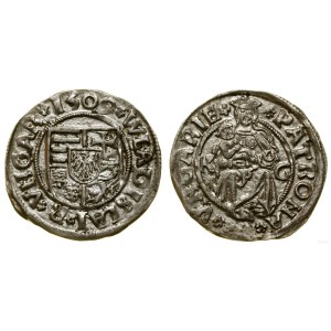 Węgry, denar, 1509 K G, Kremnica