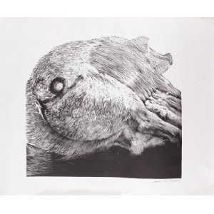 Stanislaw BAJ (b. 1953), Sow, 1978/2003
