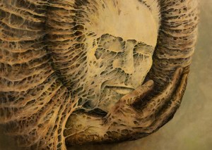 Wojciech Malicki (ur. 1981), Ammonite, 2021