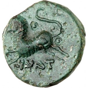 Éduens. Bronze épigraphique MAKILOV / TAKKAVS, à la tête hirsute et lion ND (Ier s. av. J.-C.).
