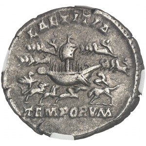 Septime Sévère (193-211). Denier au Grand Cirque (circus maximus) 206, Rome.