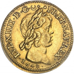 Louis XIV (1643-1715). Double louis à la mèche courte 1648, D, Lyon.