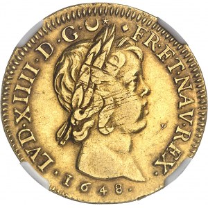 Louis XIV (1643-1715). Double louis à la mèche courte 1648, D, Lyon.