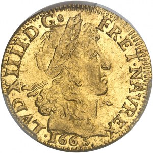 Louis XIV (1643-1715). Louis d’or juvénile lauré 1663, L, Bayonne.