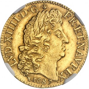 Louis XIV (1643-1715). Louis d’or à la perruque et aux huit L 1687, D, Lyon.