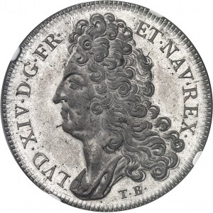 Louis XIV (1643-1715). Frappe fantaisie de l’écu aux trois couronnes, en étain, d’après Thomas Bernard ND (XIXe s.).