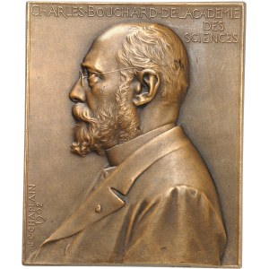 IIIe République (1870-1940). Plaque, Charles Bouchard de l'Académie des sciences, par J.-C. Chaplain 1902, Paris.