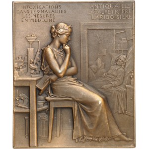 IIIe République (1870-1940). Plaque, Charles Bouchard de l'Académie des sciences, par J.-C. Chaplain 1902, Paris.