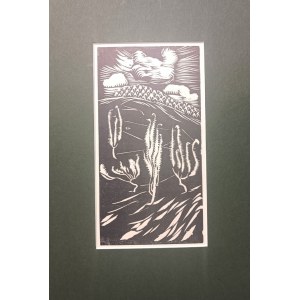 Ludwik MISKY (1884-1938), Wacholder in den Beskiden, 1928