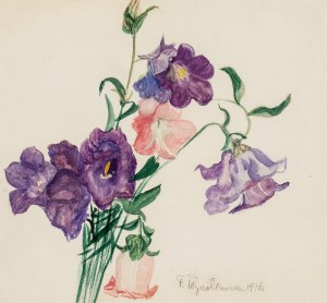 Franciszka Wyczółkowska (1879 - 1943), 