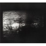 Mikołaj Smoczyński (1955 - 2009), Z serii The Secret Performance