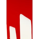 Piotr Uklański (né en 1968 à Varsovie),  Sans titre (Obrona Modlina 1939) , 2011