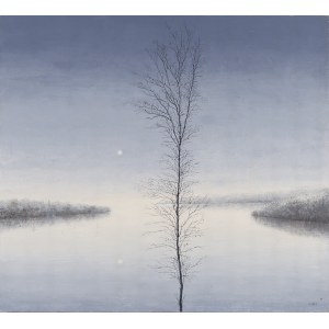 Rafał Borcz (ur. 1973, Łańcut), Jasna noc, 2013