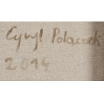 Cyril Polaczek (nato nel 1989, Zielona Góra), Api, 2014