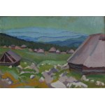 Władysław Stapiński, Dolina Chochołowska