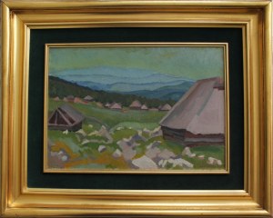 Władysław Stapiński, Dolina Chochołowska