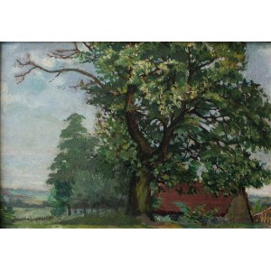 Roman Wilkosz, Paesaggio rurale