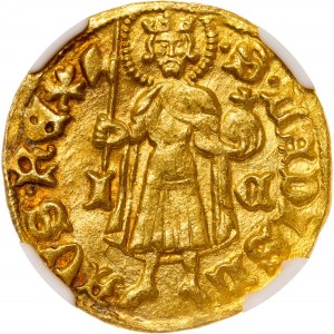 Hungary - Sigismund (1387 - 1437) Goldgulden Kaschau