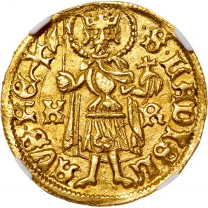 Hungary - Ladislaus V. (1453 - 1457) Goldgulden Kremnitz
