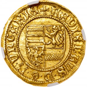 Hungary - Ladislaus V. (1453 - 1457) Goldgulden Kremnitz