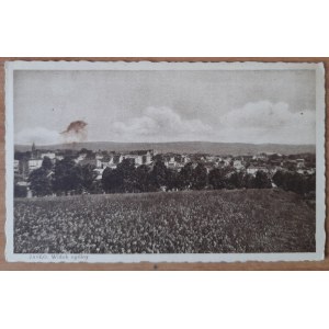 Jaslo.General view.