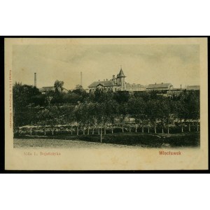 WŁOCŁAWEK - Villa L. Bojańczyka, Nakł. i fot. B. Sztejner, Włocławek, św. czb., ok. 1900,