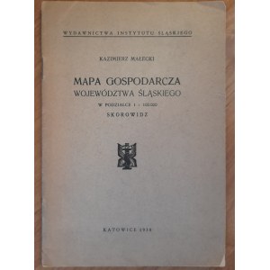 Mapa gospodarcza województwa śląskiego w podziałce 1:100.000
