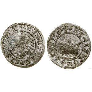 Polsko, půlpenny, 1507, Krakov