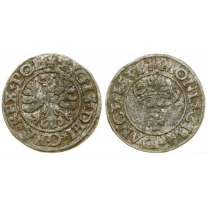 Polska, szeląg, 1531, Gdańsk