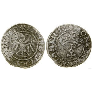 Poland, sheląg, 1539, Gdansk
