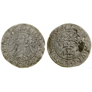 Polska, szeląg, 1546, Gdańsk