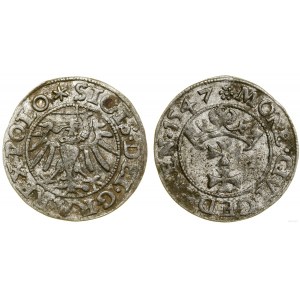 Poland, sheląg, 1547, Gdansk