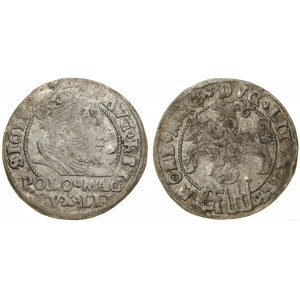 Polska, grosz na stopę polską, 1546, Wilno